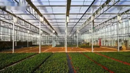Novo sistema hidropônico inteligente agrícola para flores e vegetais