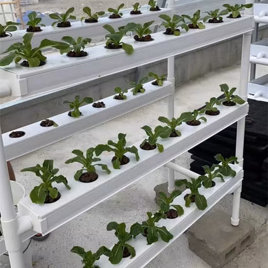 Sistema de canal Nft hidropônico vertical interno para vegetais folhosos