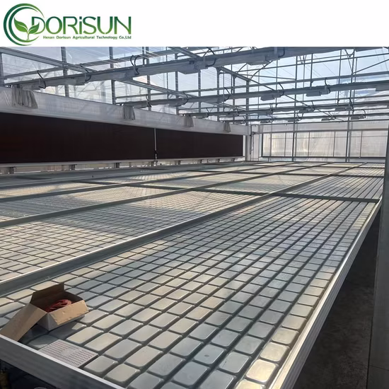 Mesa rolante para estufa, bancos de crescimento e sistema de fluxo de vazante de canteiro