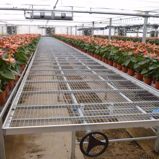 Cama de sementeira para estufa comercial, 4x8 pés, cama de berçário, bandeja de vazante e fluxo, hidroponia, sistema de banco rolante móvel, mesa de inundação