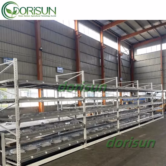 Plantio e cultivo de canteiro de sementes LED para cultivo de mesa de luz sistema de bancada rolante de vazante e fluxo