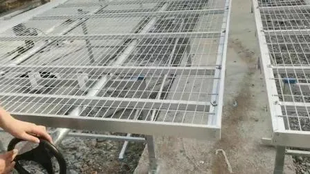 Equipamento de irrigação e hidroponia Dwc para estufa