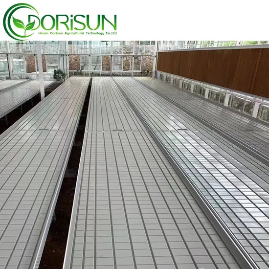 Sementeira de sistemas hidropônicos de banco de estufa rolante de fluxo de vazante